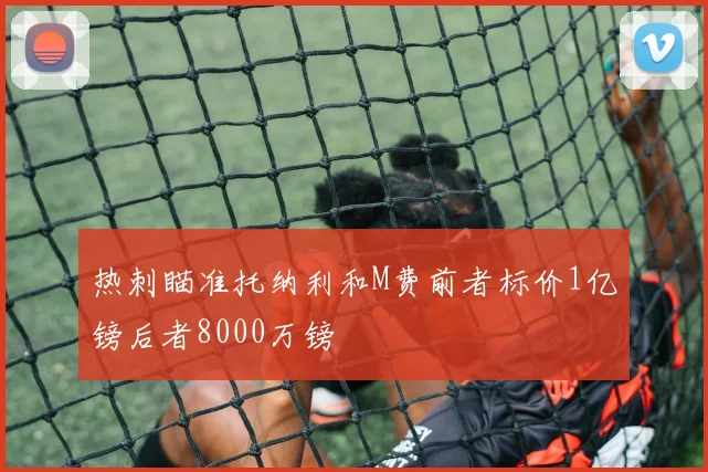 热刺瞄准托纳利和M费前者标价1亿镑后者8000万镑